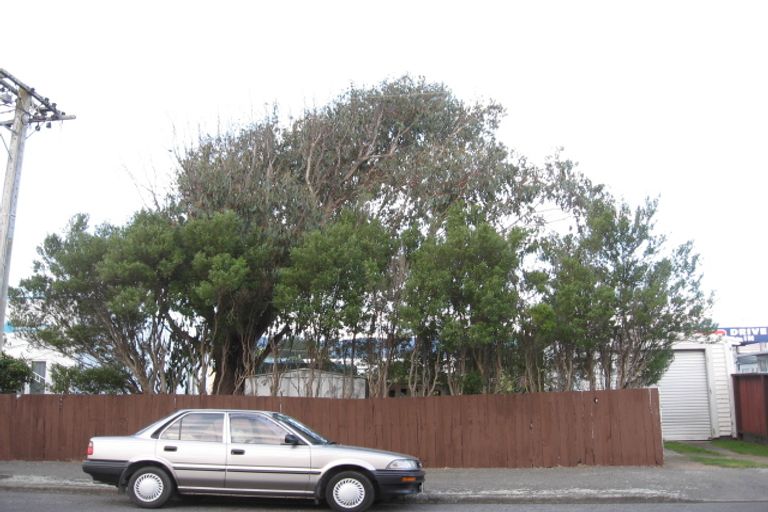 Photo of property in 14 Matene Street, Otaki, 5512