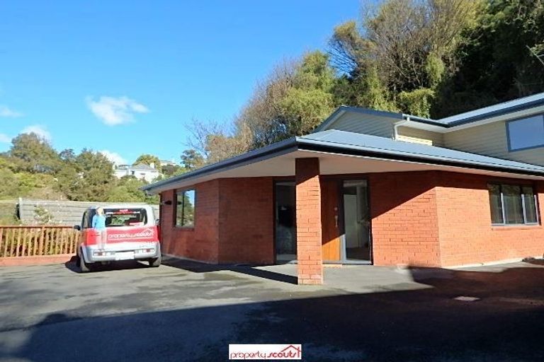 Photo of property in 43b Littlebourne Road, Roslyn, Dunedin, 9010