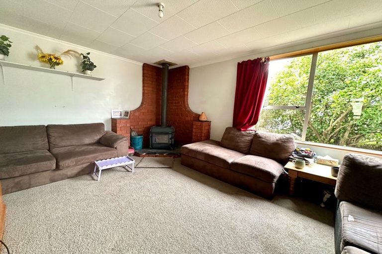 Photo of property in 85 Wilson Road, Balclutha, 9230