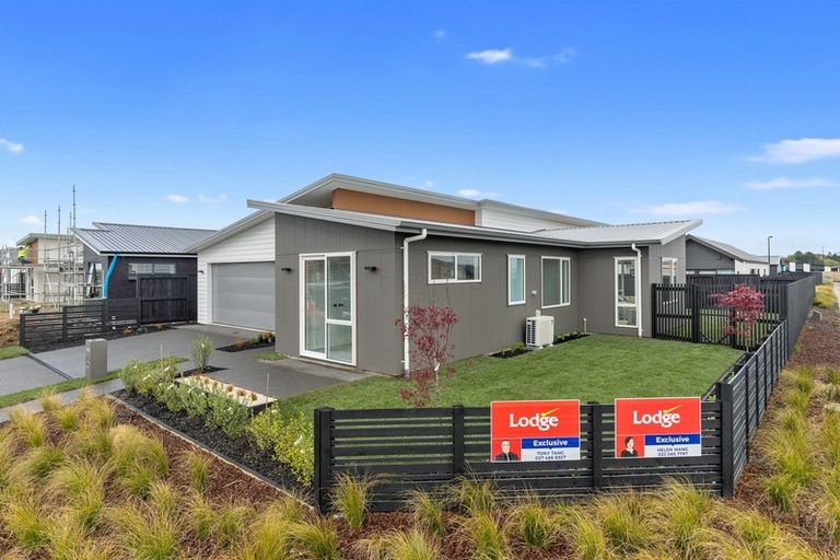 Photo of property in 29 Gosset Avenue, Chartwell, Hamilton, 3210