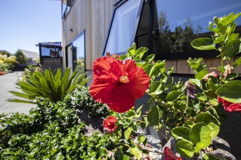 Photo of property in 13 Margaret Street, Mangawhai Heads, Mangawhai, 0505