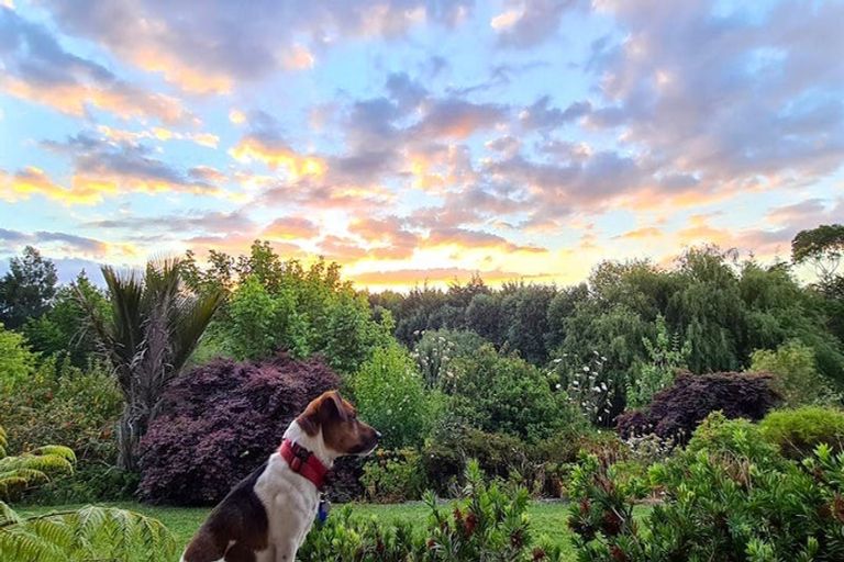 Photo of property in 68 Wiroa Road, Kerikeri, 0293