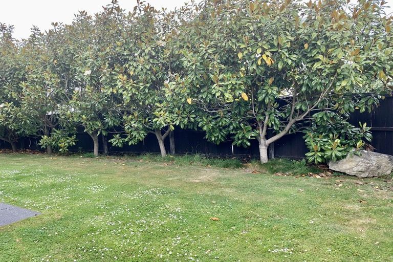 Photo of property in 1/46 Bryndwr Road, Fendalton, Christchurch, 8052