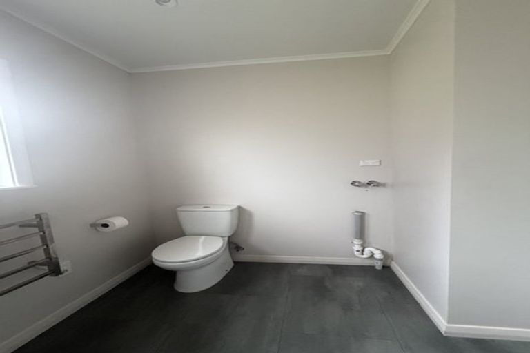 Photo of property in 24 Galway Avenue, Hamilton East, Hamilton, 3216