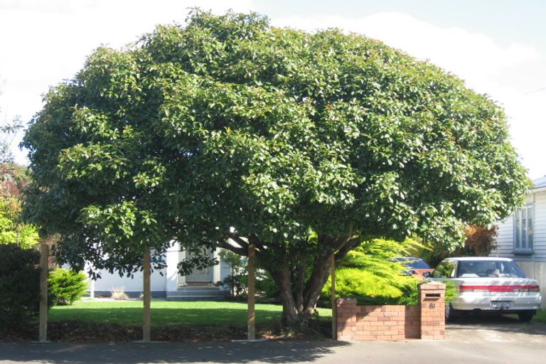 Photo of property in 81 Pine Avenue, Ebdentown, Upper Hutt, 5018