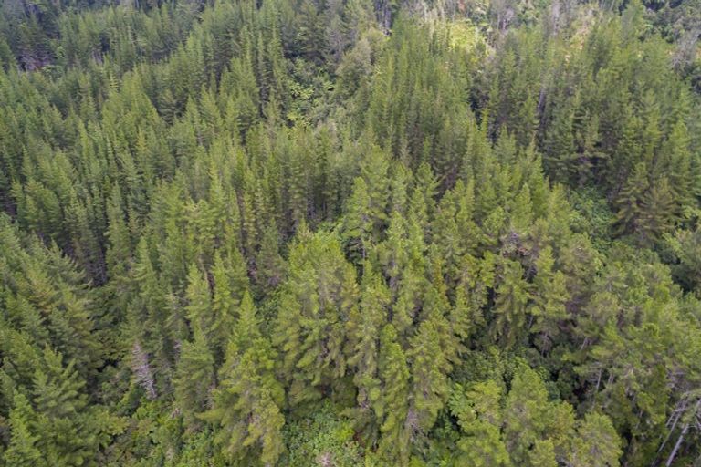 Photo of property in 144 Pinehaven Road, Pinehaven, Upper Hutt, 5019