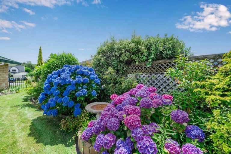 Photo of property in 25 Awanui Drive, Waikanae, 5036