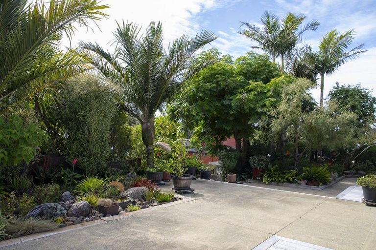 Photo of property in 6 Kaiwaka-mangawhai Road, Mangawhai, Kaiwaka, 0573