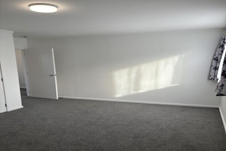 Photo of property in 310 Mansfield Street, Newtown, Wellington, 6021