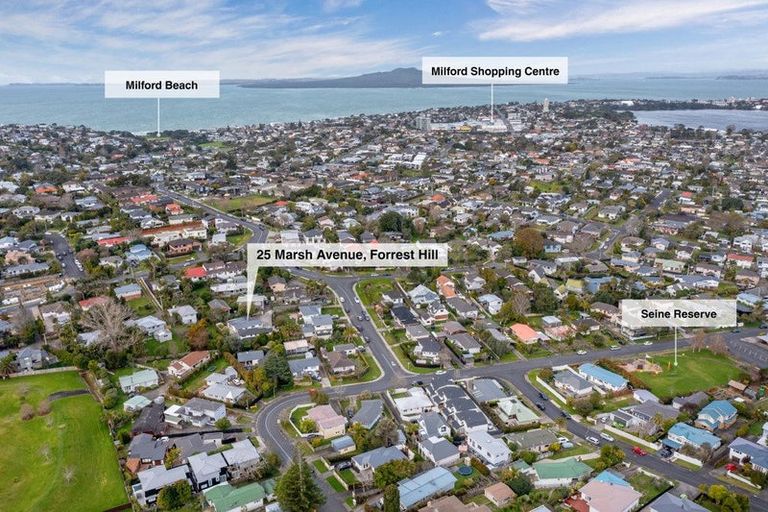 Photo of property in 25 Marsh Avenue, Forrest Hill, Auckland, 0620