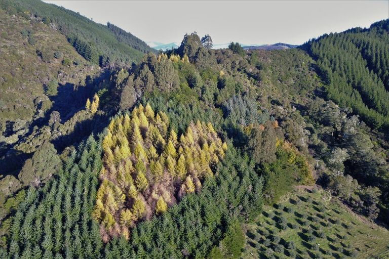 Photo of property in 2731 Motueka Valley Highway, Woodstock, Wakefield, 7096