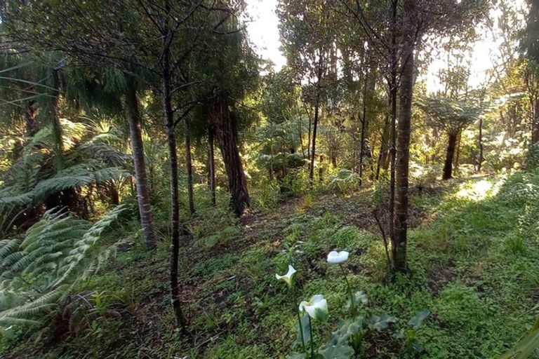 Photo of property in 21 Hayes Road, Henderson Valley, Auckland, 0612