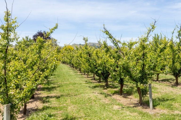 Photo of property in 1280 Howard Street, Parkvale, Hastings, 4122