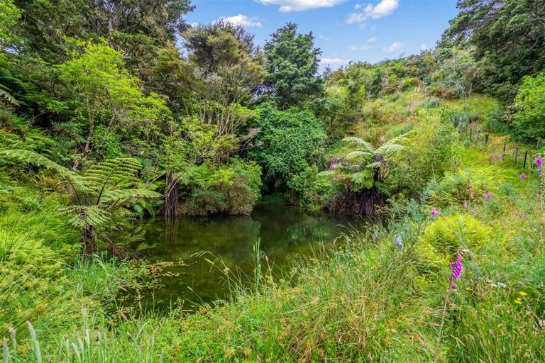 Photo of property in 362c Whananaki North Road, Opuawhanga, Hikurangi, 0181