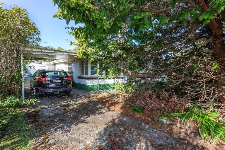 Photo of property in 113 Main South Road, Karoro, Greymouth, 7805