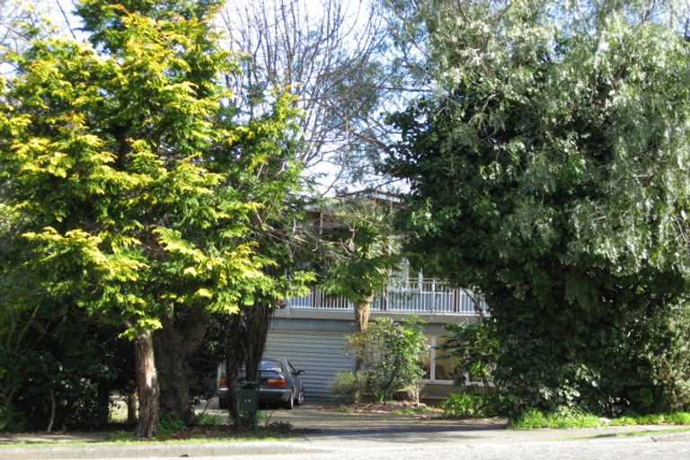 Photo of property in 18 Macarthur Street, Levin, 5510