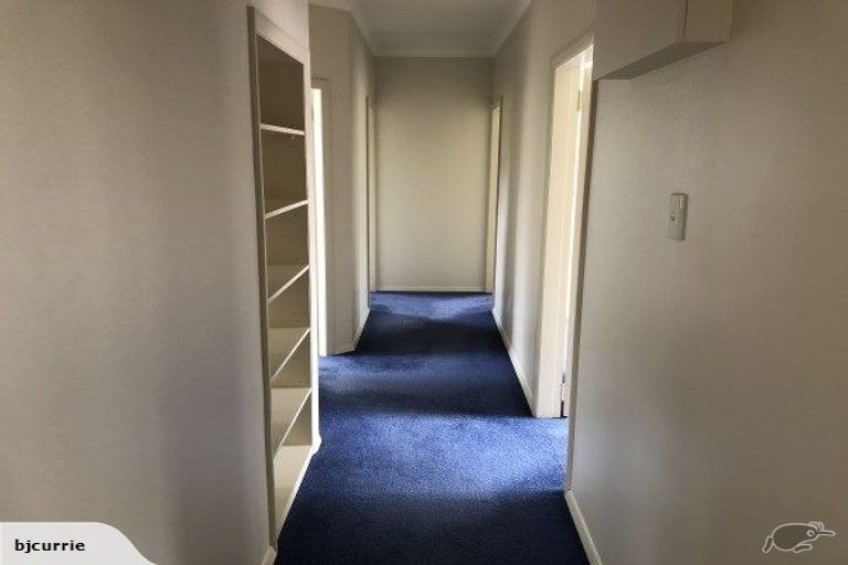 Photo of property in 16 Collingwood Street, Hokowhitu, Palmerston North, 4410