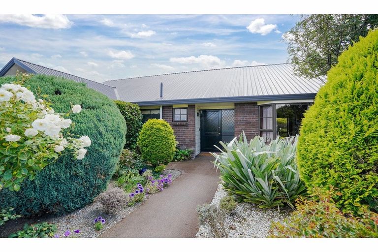 Photo of property in 78a Catherine Street, Windsor, Invercargill, 9810