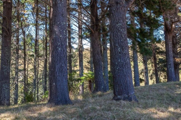 Photo of property in 2121a Waihi Whangamata Road, Whiritoa, Whangamata, 3691