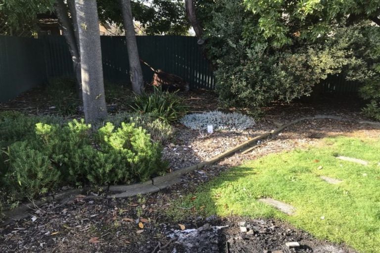 Photo of property in 16 Saxton Street, Levin, 5510