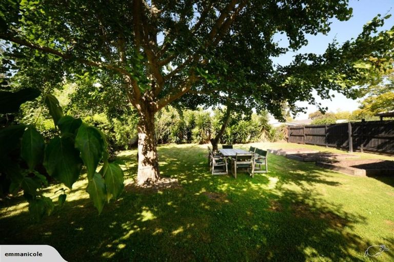 Photo of property in 8 Saint Olpherts Avenue, Hamilton East, Hamilton, 3216