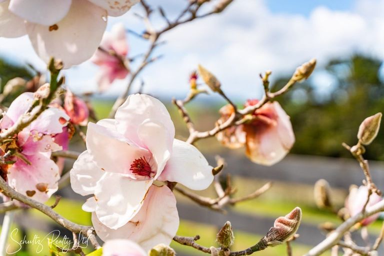 Photo of property in 31-33 Nikau Lane, Maungaturoto, 0520