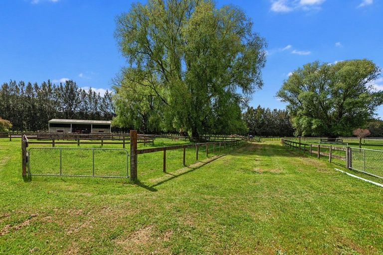 Photo of property in 1165 Braemar Road, Rotoma, Whakatane, 3192