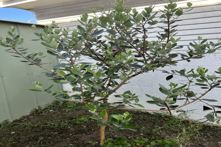 Photo of property in 38 Kings Crescent, Hutt Central, Lower Hutt, 5010