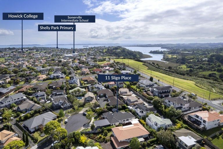 Photo of property in 11 Sligo Place, Somerville, Auckland, 2014