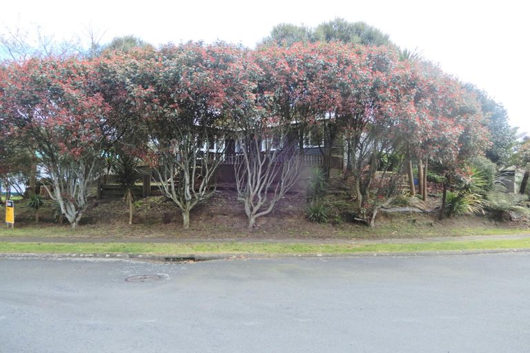 Photo of property in 110 Reservoir Street, Putaruru, 3411