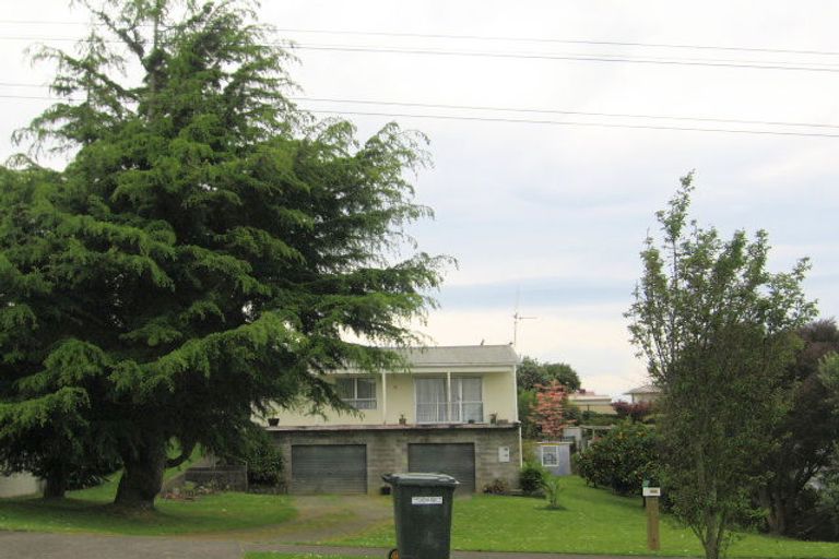 Photo of property in 17 Young Street, Morrinsville, 3300