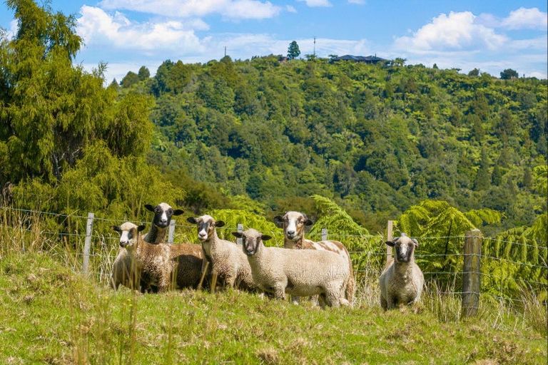 Photo of property in 200 Govan Wilson Road, Whangaripo, Warkworth, 0985