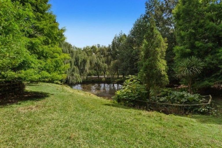 Photo of property in 763b White Pine Bush Road, White Pine Bush, Whakatane, 3191