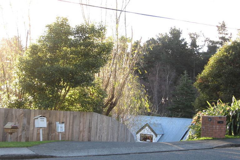 Photo of property in 55 Leinster Avenue, Raumati South, Paraparaumu, 5032