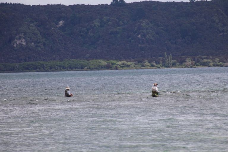 Photo of property in 136 State Highway 1, Waitahanui, Taupo, 3378