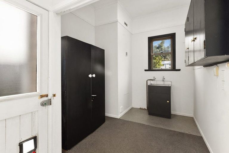 Photo of property in 7 Carrington Street, Mount Cook, Wellington, 6021