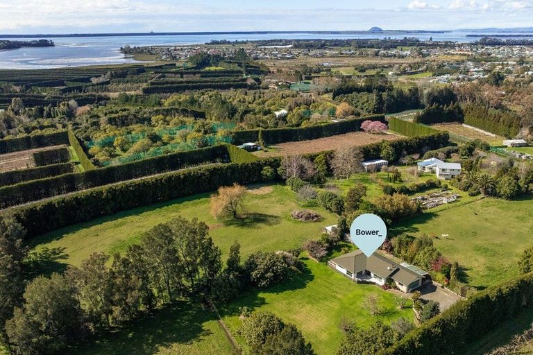 Photo of property in 48 Lindemann Road, Katikati, 3170