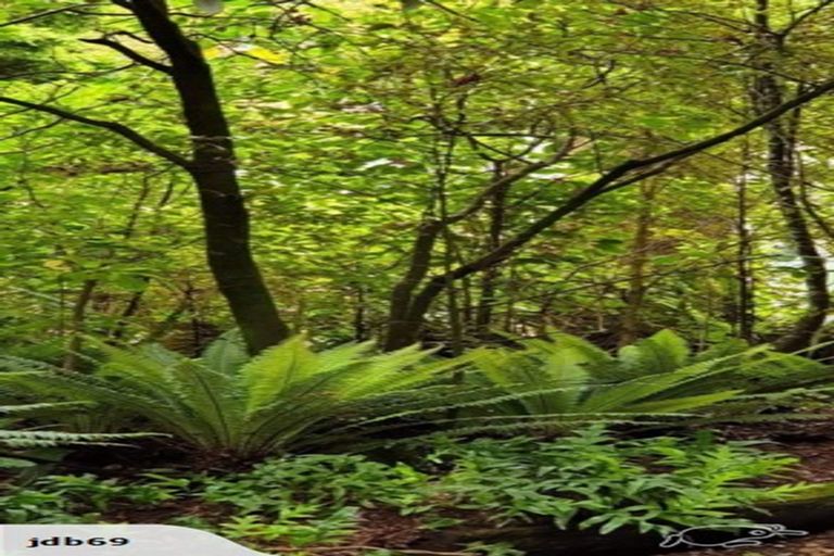 Photo of property in 58 Ruru Avenue, Otatara, Invercargill, 9879