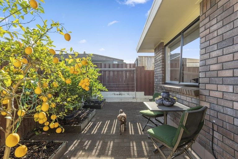 Photo of property in 3 Tenth Avenue, Tauranga, 3110