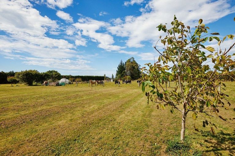 Photo of property in 103 Harnetts Road, Kaikoura Flat, Kaikoura, 7371