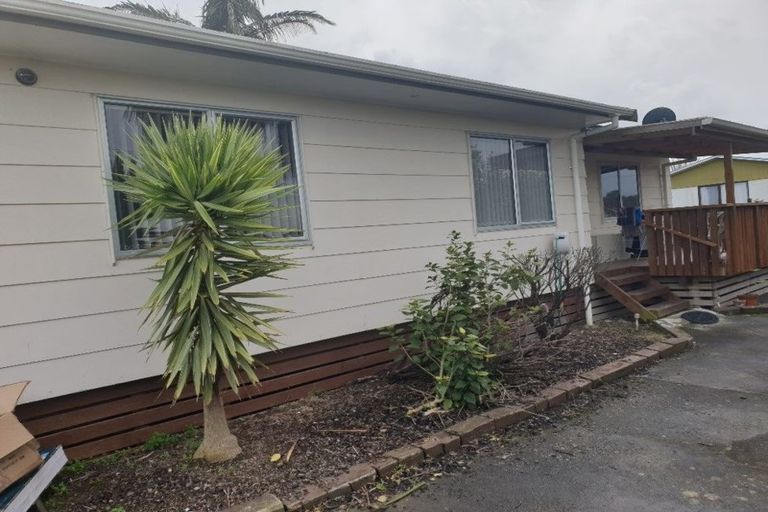 Photo of property in 2/171 Bruce Mclaren Road, Henderson, Auckland, 0612