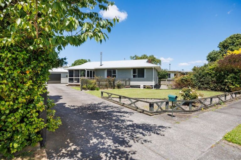 Photo of property in 132 Stanford Street North, Ashhurst, 4810