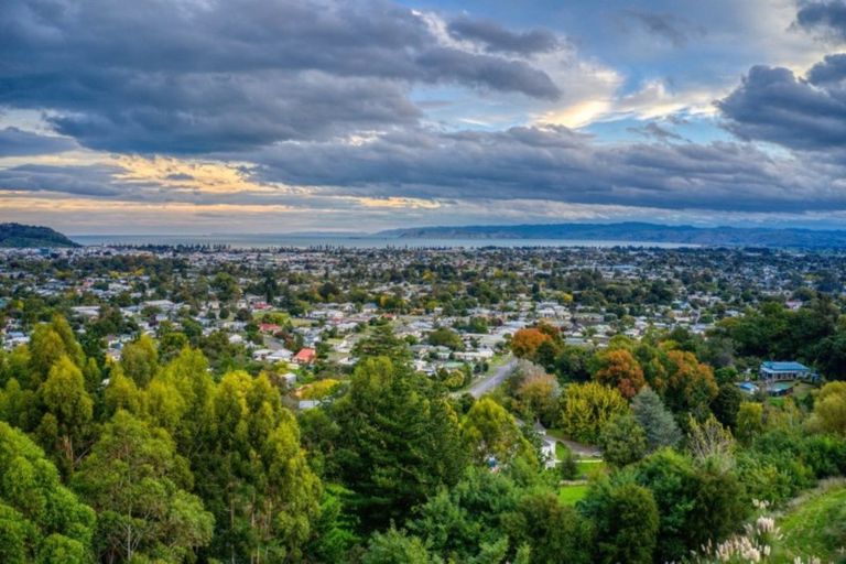 Photo of property in 57 Hillview Terrace, Mangapapa, Gisborne, 4010