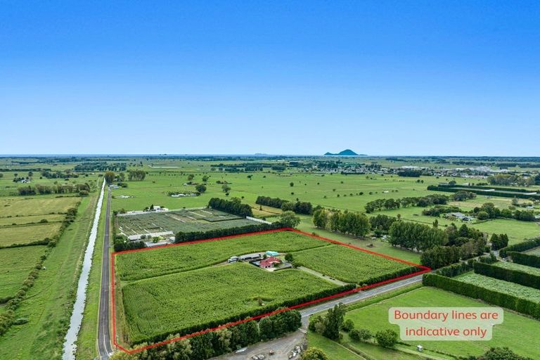 Photo of property in 164 Otakiri Road, Edgecumbe, Whakatane, 3192