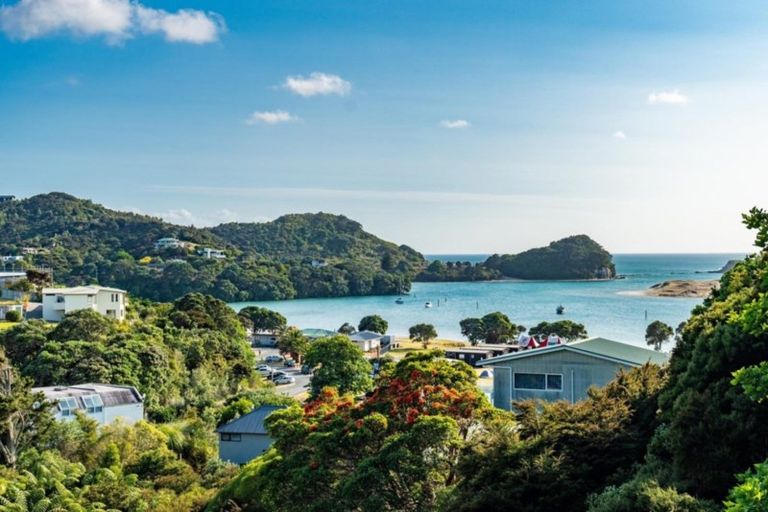 Photo of property in 41 Olsen Avenue, Mangawhai Heads, Mangawhai, 0505