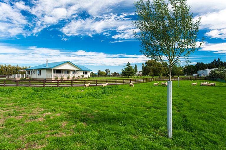 Photo of property in 117 Hansen Road, Makauri, Gisborne, 4071