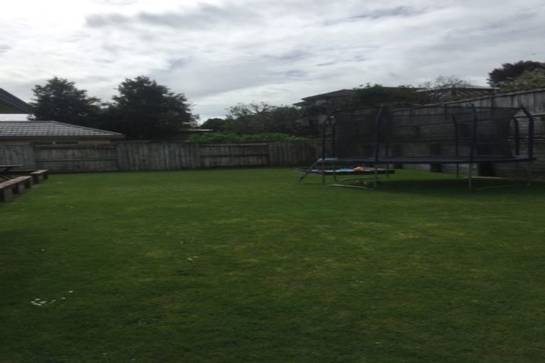 Photo of property in 62 Castlewold Drive, Bethlehem, Tauranga, 3110