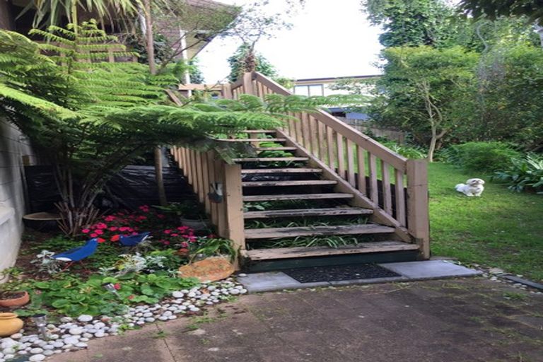 Photo of property in 49 Hazelwood Avenue, Dinsdale, Hamilton, 3204