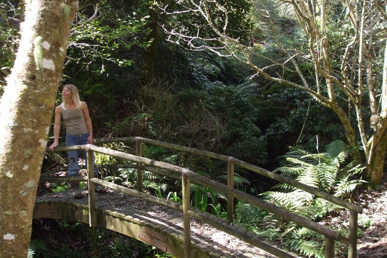 Photo of property in 116 Tauwharenikau Road, Tututawa, Stratford, 4392