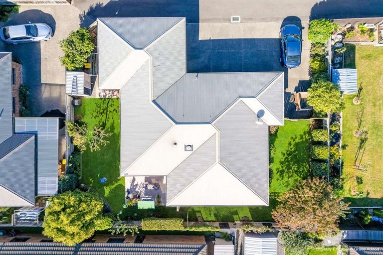 Photo of property in 19 De Castro Drive, Blenheim, 7201